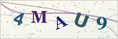 Security code image