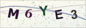 Security code image